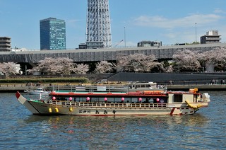 スカイツリールート