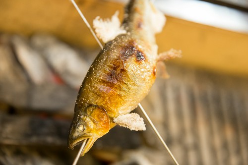焼魚
