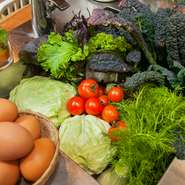 付け合わせやサラダには、鎌倉市農協連即売所で仕入れた鎌倉野菜を使用。素材がいいのは当然、「生産者の顔が見える安全性も、ヴァン・ナチュールに通じるものがある」と五十嵐さんも太鼓判を押します。