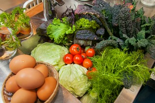 味が濃く、安全性にこだわった鎌倉野菜を買い付け