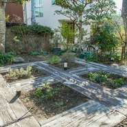 建物は築90年になる古民家の納屋をリノベーション。庭には山梨のワイナリーから植樹してもらったというブドウの木や小さな自家菜園もあり、自然派ワインと同様ナチュラルな雰囲気が漂います。