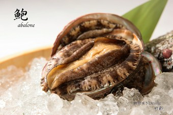 長崎の近海で獲れた新鮮な鮑