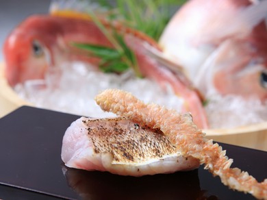 ふくふくとした上品な甘みを持つ魚の王様、玉島産『釣り甘鯛』