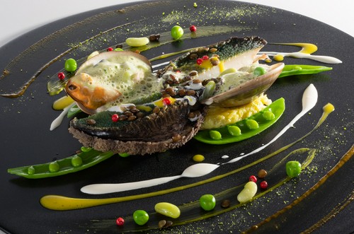 志摩産　黒鮑の低温調理