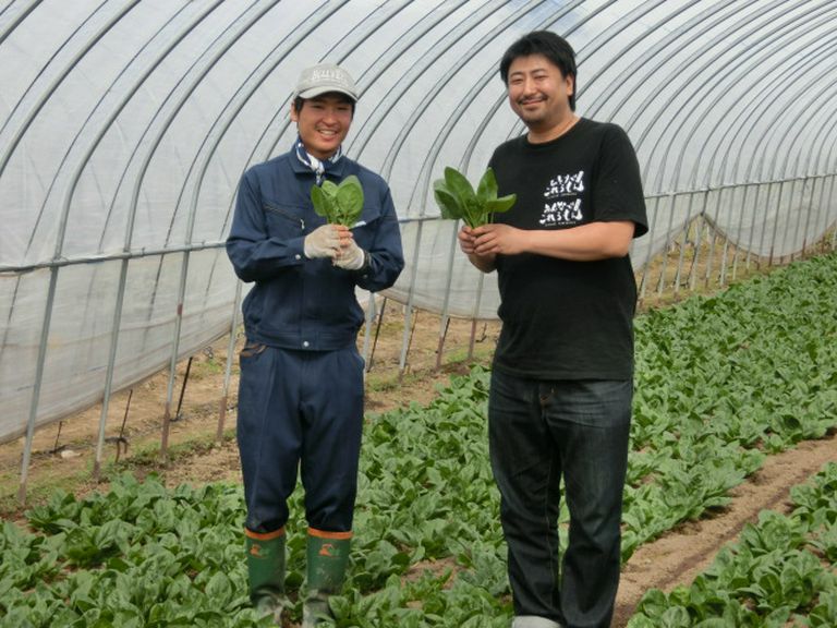 ほうれんそう (JA東神楽)