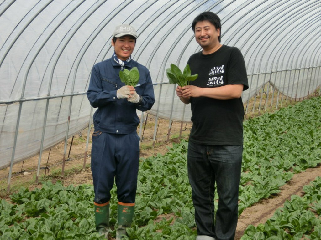 ほうれんそう　（JA東神楽）