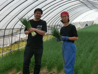 小ねぎ　（JA東神楽）