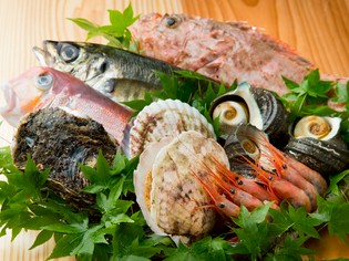地元・久美浜をはじめ、全国各地から仕入れた旬の魚介