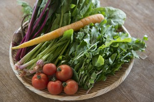 今帰仁村で採れる新鮮な季節の島 野菜