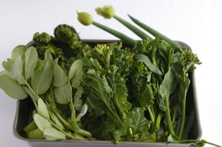 使えるものはできるだけ、大阪で採れた野菜を