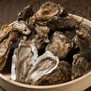 皆が大好き、当店自慢の牡蠣は北海道各地の牡蠣を厳選仕入れ！ 社長自ら、きちんと現場に足を運び、選びぬいた牡蠣です。海の恵みに感謝して、訪問しております。