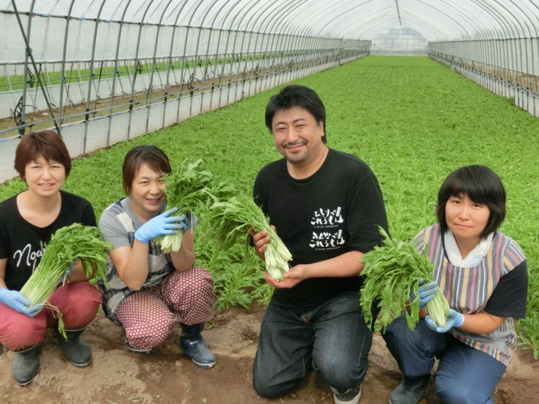水菜 (JA東神楽)