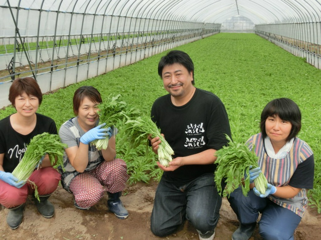 水菜　（JA東神楽）