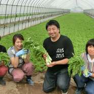 水菜　（JA東神楽）