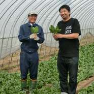 ほうれんそう　（JA東神楽）