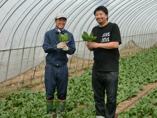 ほうれんそう　（JA東神楽）