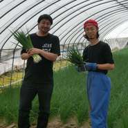 小ねぎ　（JA東神楽）