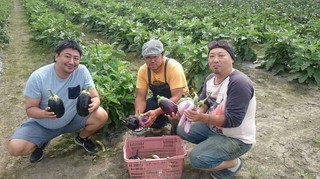 なす　（南幌町　岩崎農園）