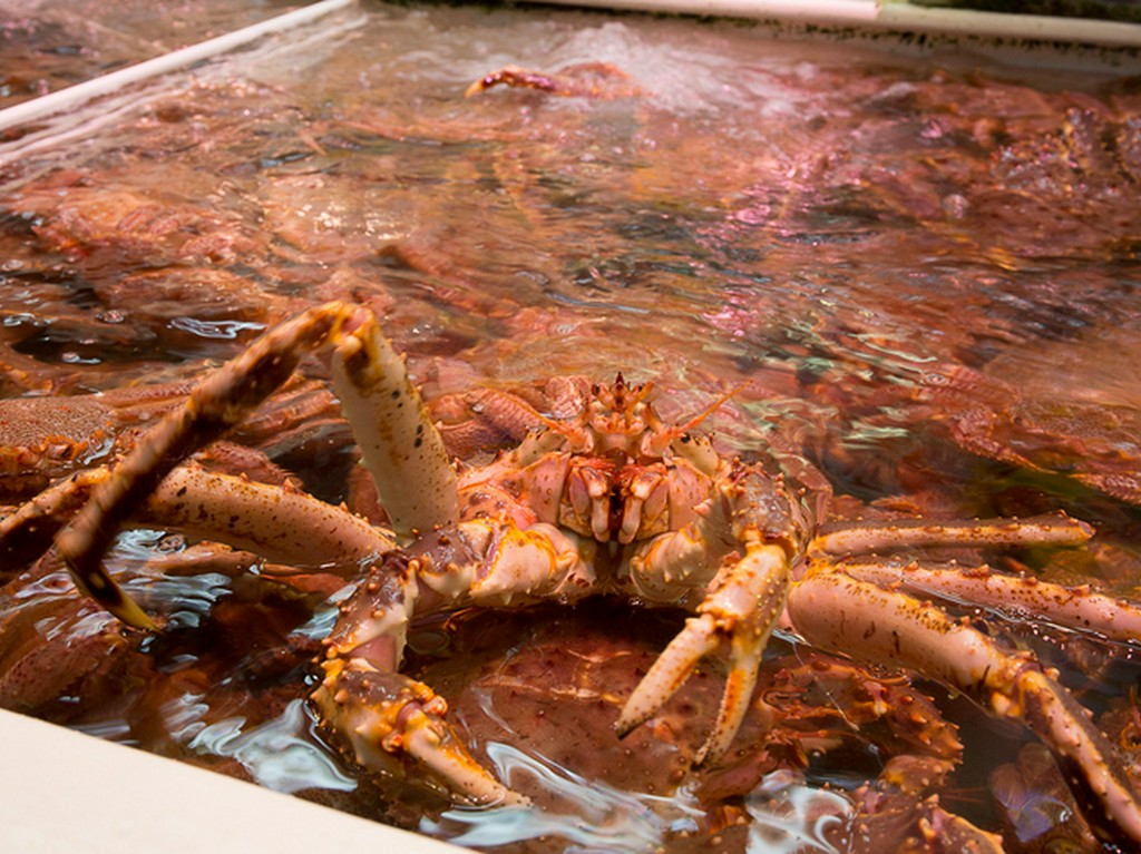 活かにをその場で茹でます！魚屋の直営店だからこそできる逸品