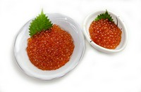 小　1,100円／大　1,870円