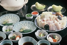 厳選された山口県産とらふぐをご用意
ひと味違う自家製ポン酢で是非一度、その味をお確かめ下さい