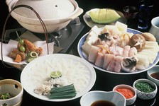 厳選された山口県産のとらふぐをご用意
ひと味違う自家製ポン酢で是非一度、その味をお確かめ下さい