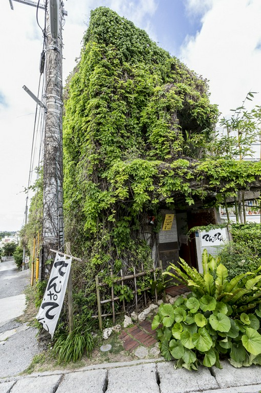 蔦に覆われた趣のある外観は隠れ家的雰囲気