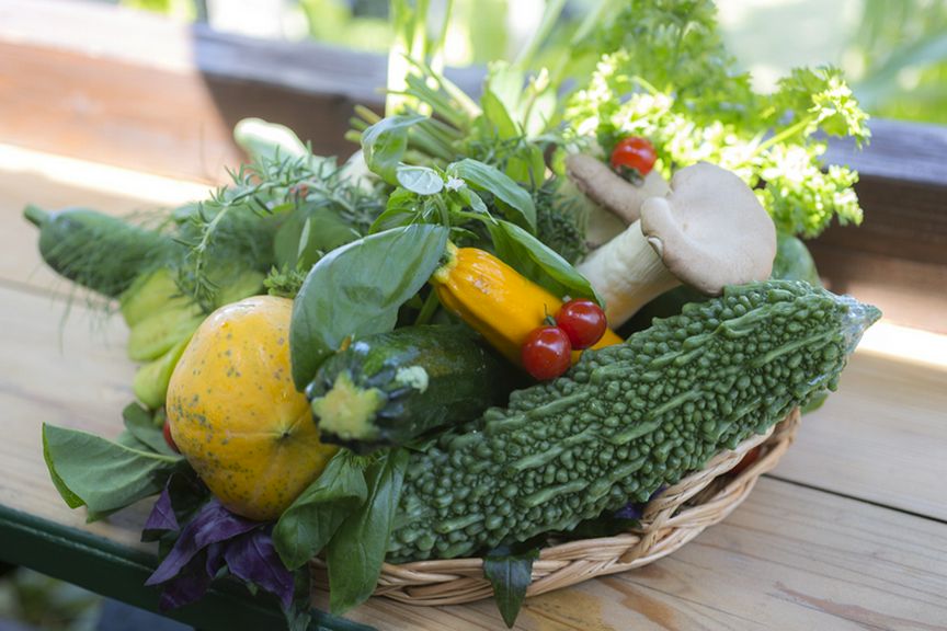 自家菜園で収穫した素材を中心に、地産地消にこだわりを