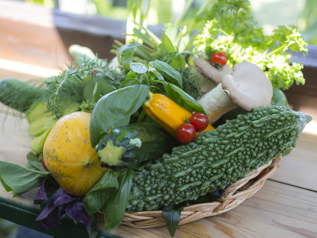 自家菜園で収穫した素材を中心に、地産地消にこだわりを