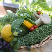 自家菜園の無農薬・有機栽培の野菜をはじめ、新鮮な野菜を使ったメニューが種類豊富。『今日のスペシャルランチ』や手づくり『ピザ』など、新鮮で濃厚な旨みを持つ野菜のおいしさを存分に楽しめます。