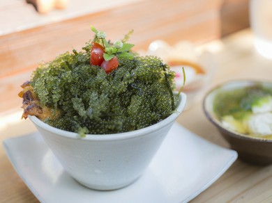 地元本部町で栽培されている採れたての「海ぶどう」をたっぷりと『海ぶどうとアグーの丼仕立て』