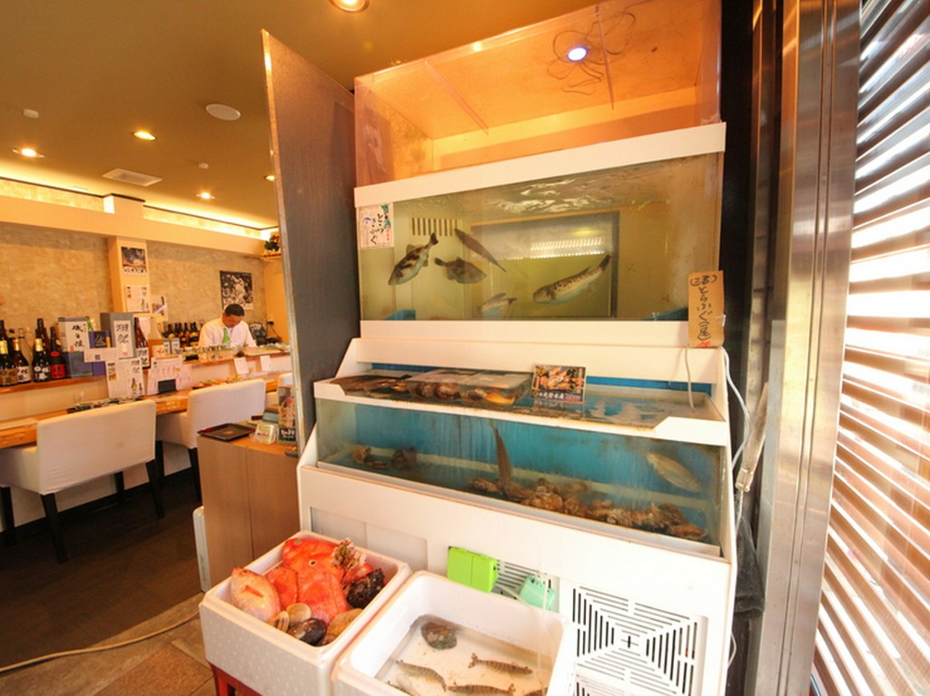 いけすで泳ぐ活きの良い魚をその場で調理。新鮮でおいしい料理