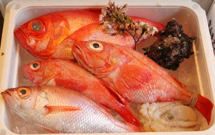 新鮮でおいしい旬の魚介類をはじめ奈良の伝統野菜や地酒も提供