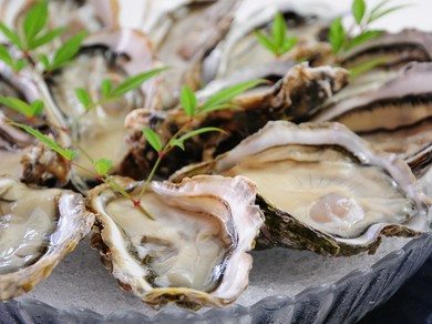 美しく栄養豊富な海で育った、安全でおいしい広島かき