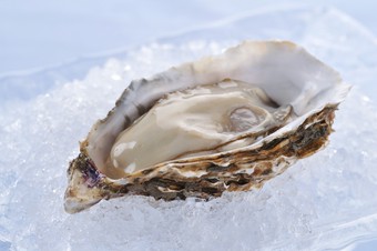 『生かき（フレッシュオイスター）』 ※1個からご注文いただけます。