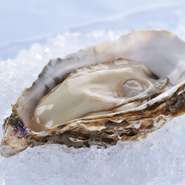かきは、貝殻が貝塚から発見されるほど太古から日本人に食されてきた食材です。そんな伝統あるかき料理に携われたのは幸運であり、その素晴らしさと伝統をさらに広めていきたいと思っています。
