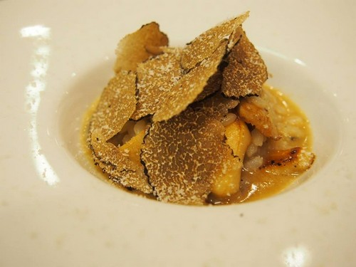 セープ茸とトリュフのリゾット