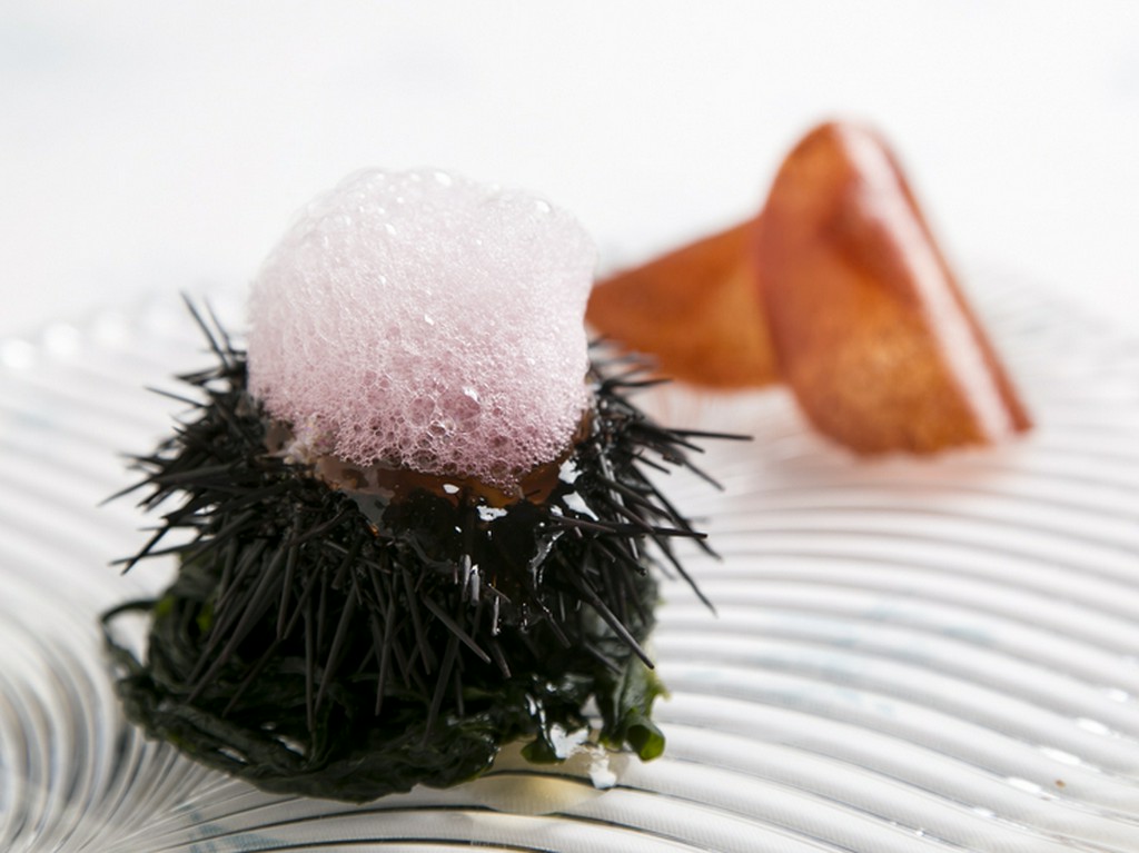 濃厚な磯の香りが広がる『北海道産の殻ウニとワタリガニのジュレ　葡萄の泡』