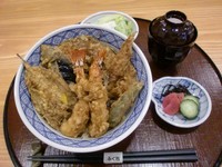 天ぷら8品、サラダ、汁物、お新香 *土日祝日予約不可