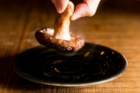 群馬県月夜野きのこ園直送。