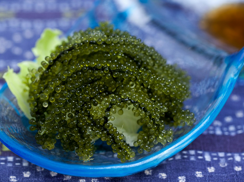 ぷちぷちとした食感がくせになる『海ぶどう』
