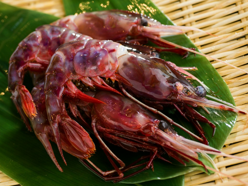 オリジナルの美味しい『しゃり』と季節ごとに変わる旬の食材