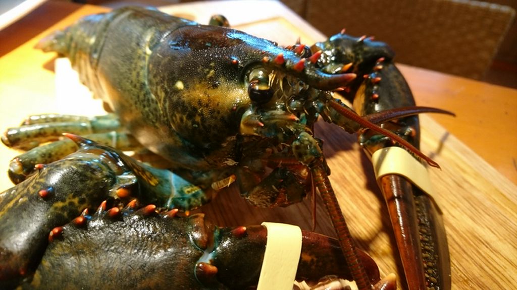 本日の魚料理
