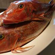 ホウボウの１尾丸ごとアクアパッツァも登場したりします。