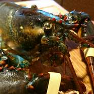 素材や調理法にこだわりながらも価格を抑えて『本日のオススメ』を提案しています🎵