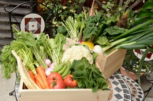 茨城県の契約農家から仕入れる、新鮮な季節の野菜