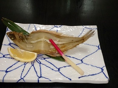 やなぎかれい
