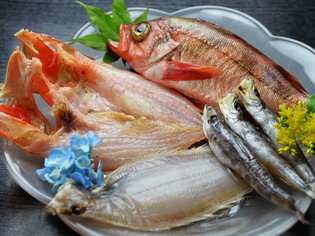 いわきの旬の鮮魚を使った、季節のおまかせ料理が人気