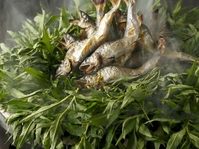 5月 特選懐石 献立一例