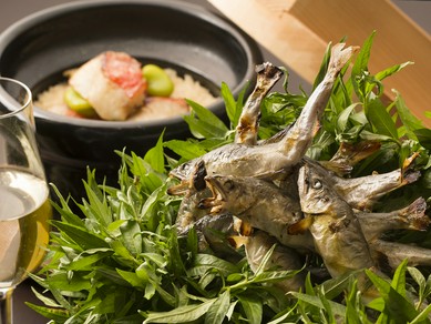 5月 おまかせ懐石 献立一例